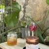 Miel de Jujubier du Yémen – Sidr maliki aux vertus rares Miel de Jujubier du Yémen royal - NaturVitale