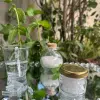 Cristaux de menthe - NaturVitale
