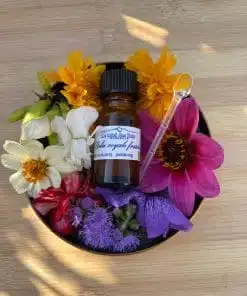 Gelée Royale Fraiche Bio