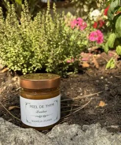 Miel de thym de Nouvelle-Zélande