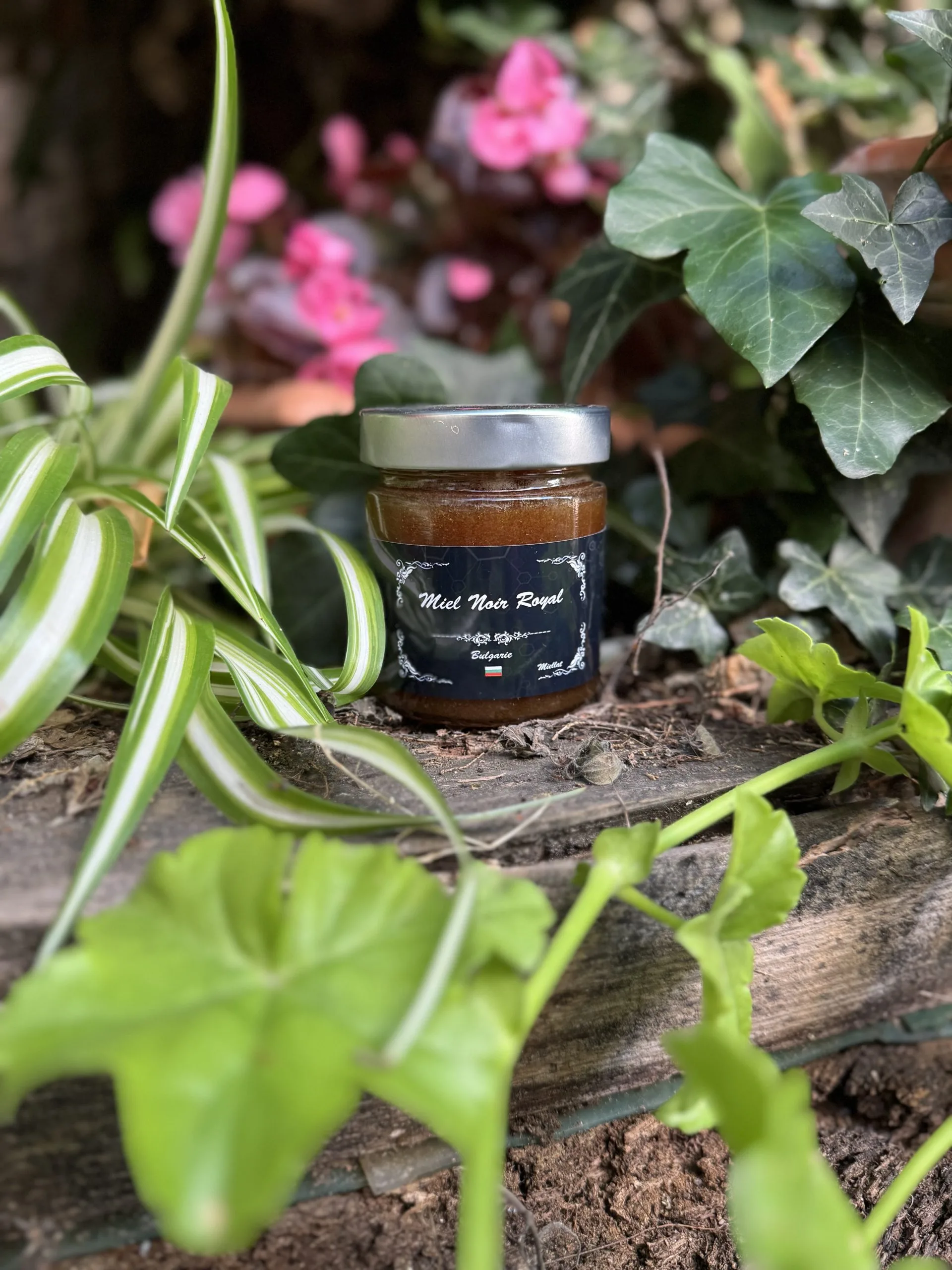 Miel noir royal de Bulgarie - NaturVitale
