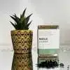 Savon au Nigelle et Laurier – Pureté, Douceur & Protection Naturelle savon au nigelle et laurier