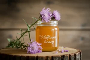 miel de chardon marie bienfaits - NaturVitale
